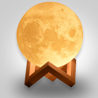 Picture Perfect Personalized Moon Lamp Light