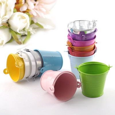 Make Your Guests' Hearts Bloom with Mini Tin Wedding Favor Pails - Perfect for Favors and Small Plants! (12 Count)