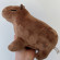 Capybara Plush: The Perfect Playmate for Kids and Adults